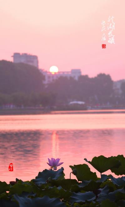 龙湖晨曦