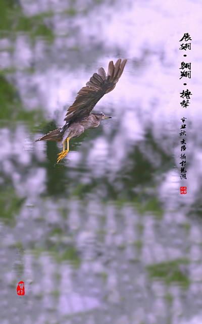 展翅·翱翔·搏击