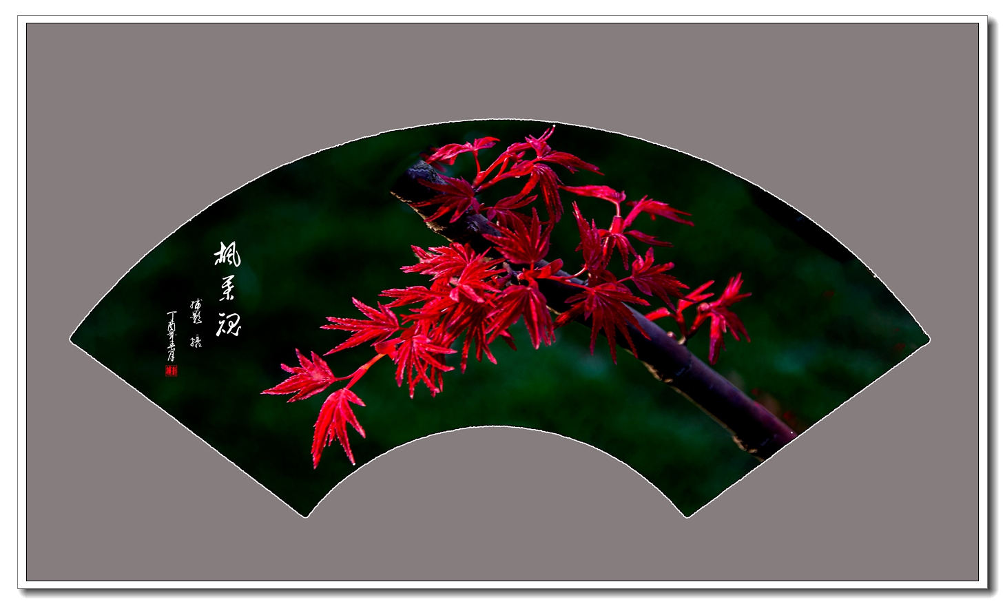 枫叶魂.jpg