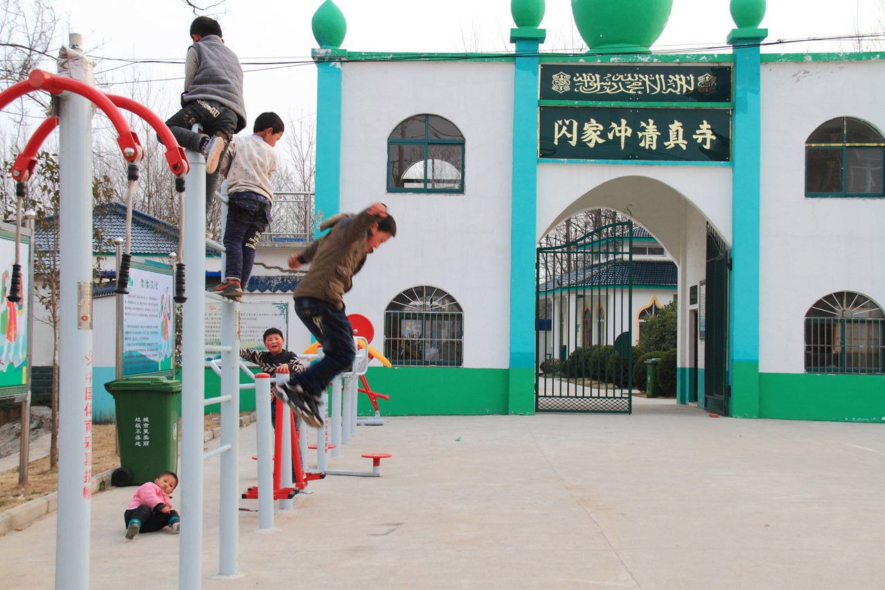 顽皮.JPG