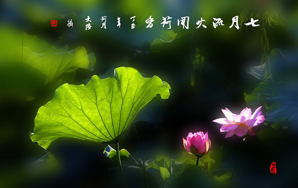 A17A0528_调整大小.JPG
