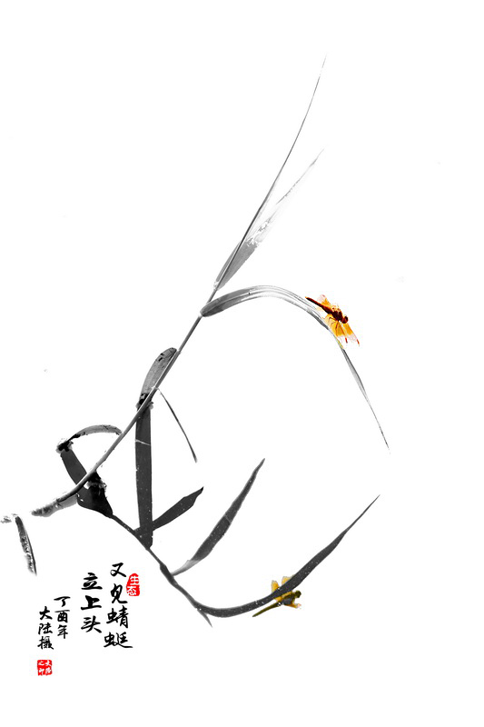 01A17A6855 - 副本_调整大小.JPG