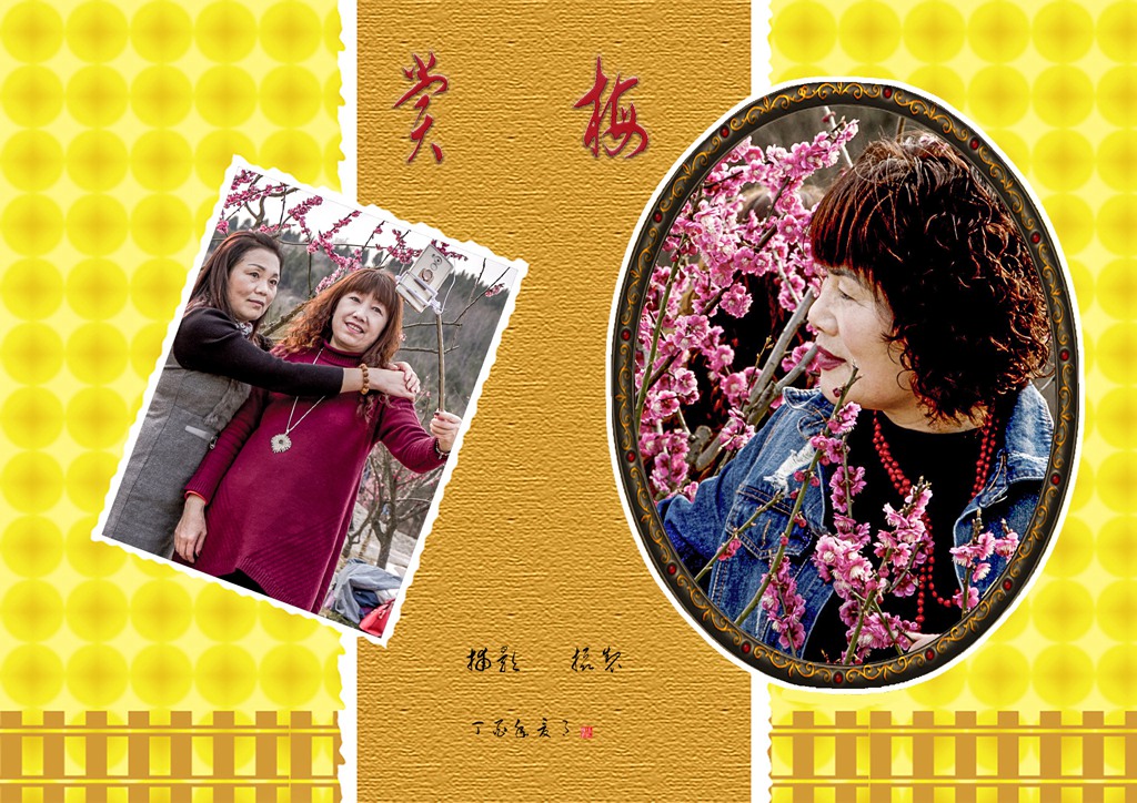 赏梅.jpg