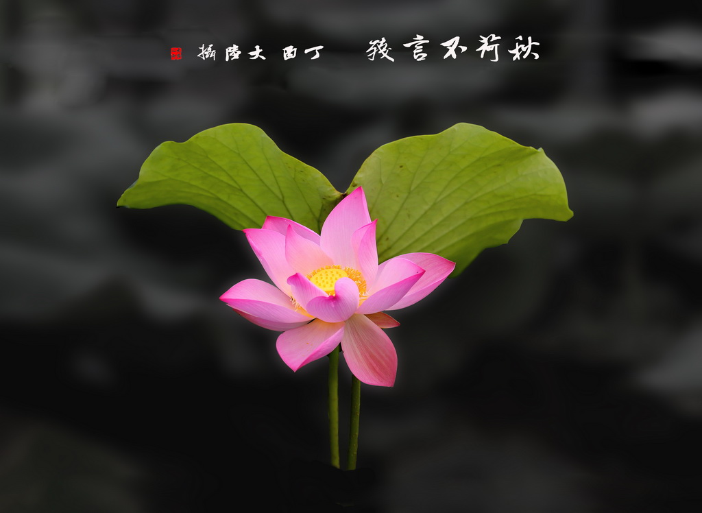 A17A0595 - 副本_调整大小.JPG