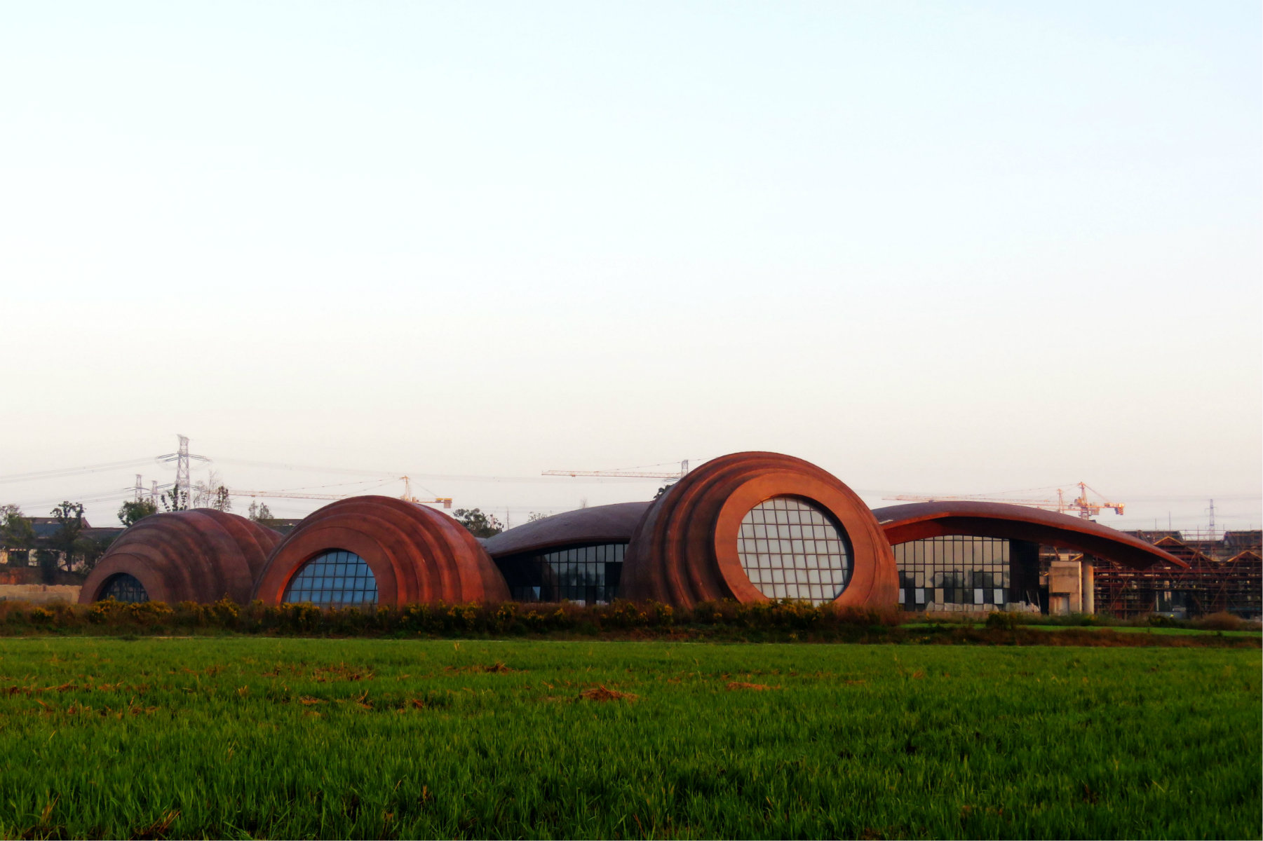 psb (22).jpg