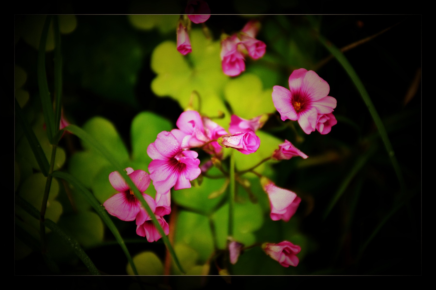 DSC_0256_副本.jpg