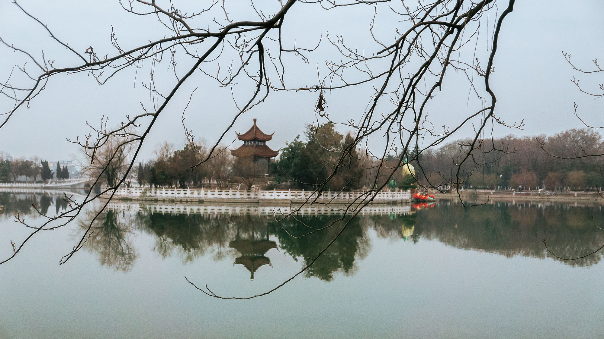 冬去春来 (1).jpg