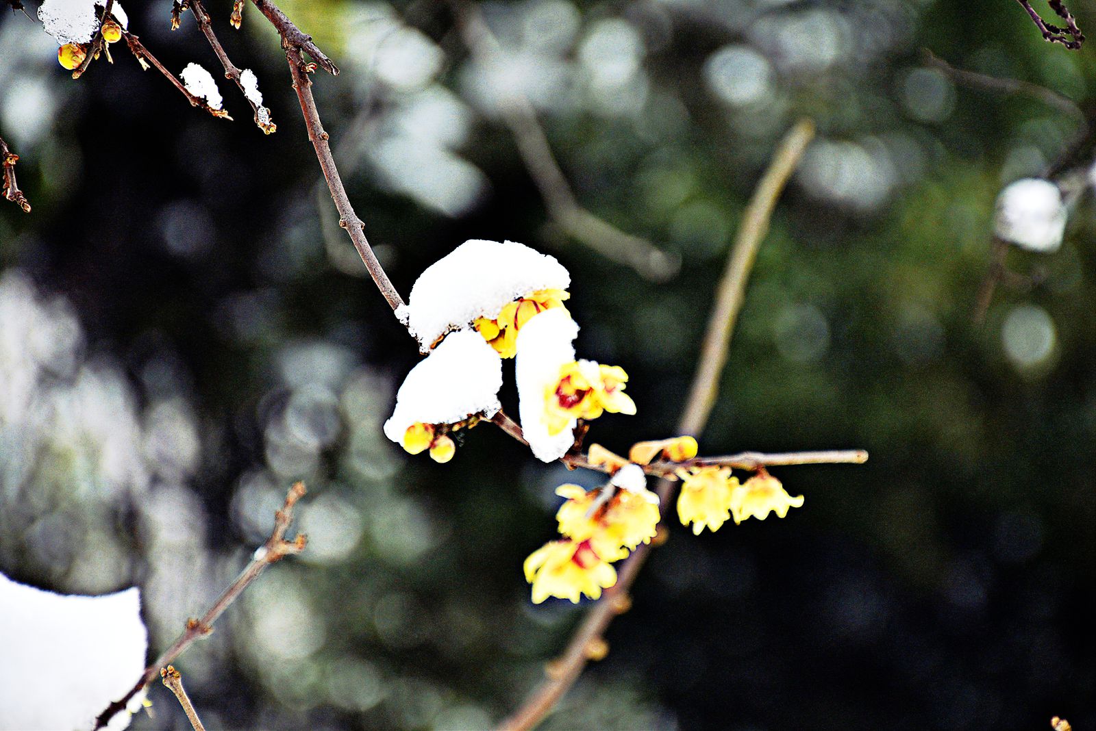 DSC_0210_副本.jpg DSC_0210_副本.jpg