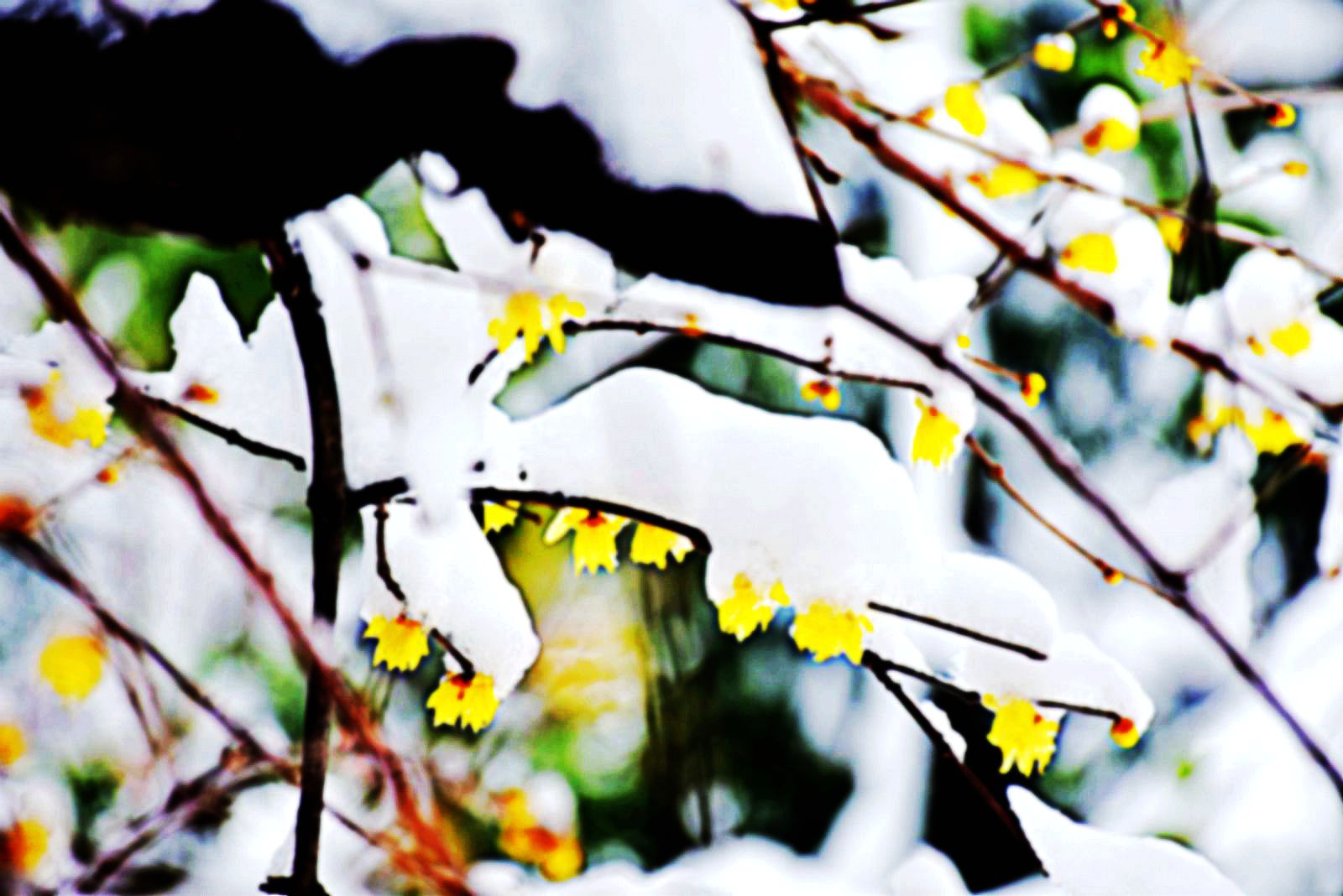 DSC_0247副本_副本.jpg DSC_0247副本_副本.jpg