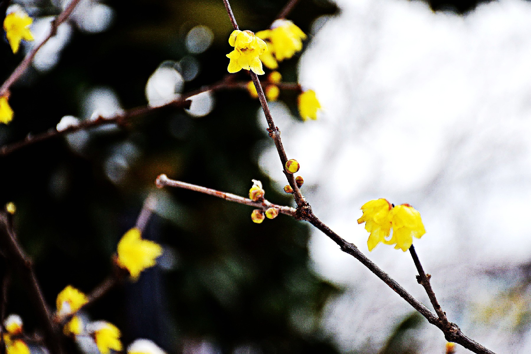 DSC_0166_副本副本_副本_副本.jpg DSC_0166_副本副本_副本_副本.jpg
