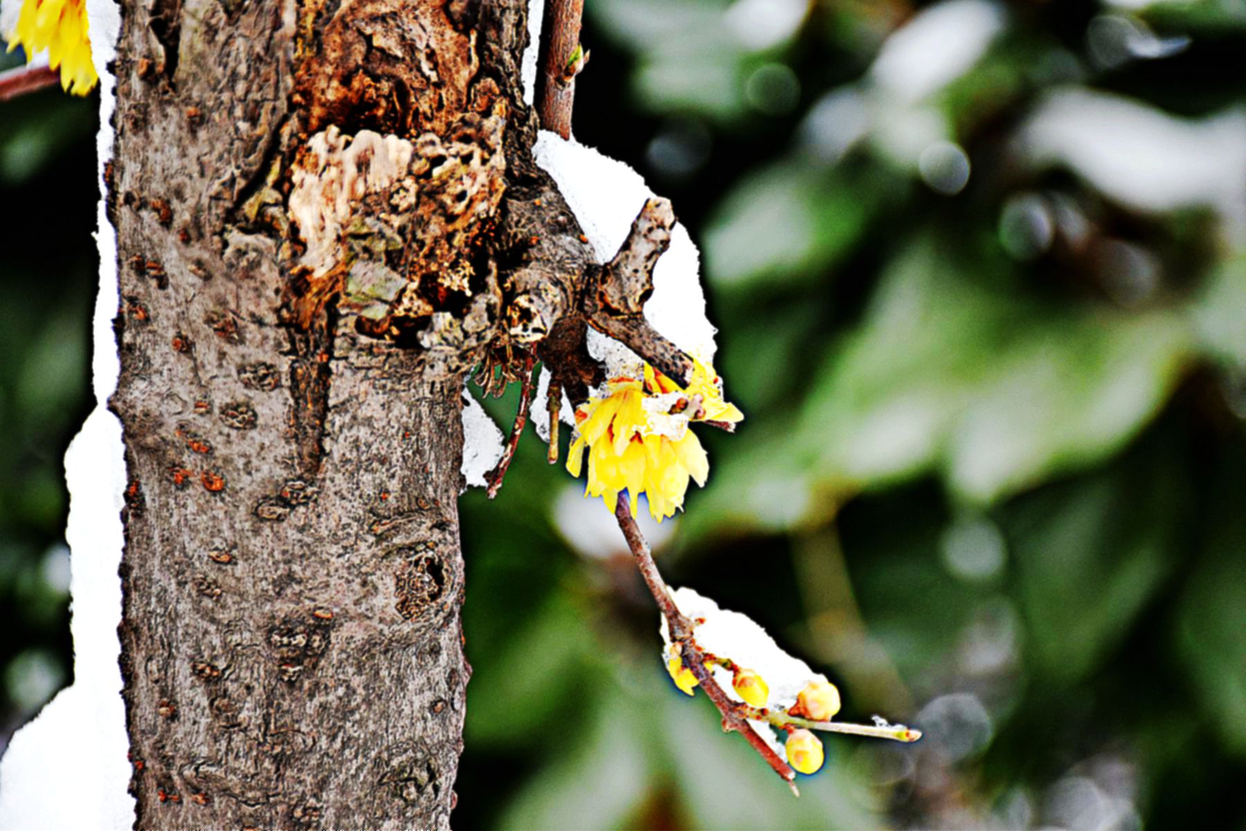 DSC_0240副本_副本.jpg DSC_0240副本_副本.jpg