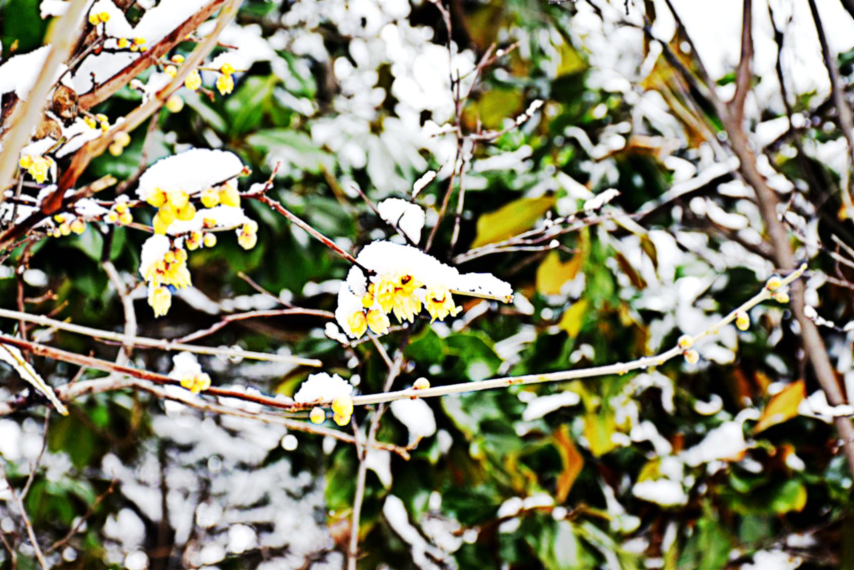 DSC_0520副本_副本.jpg DSC_0520副本_副本.jpg