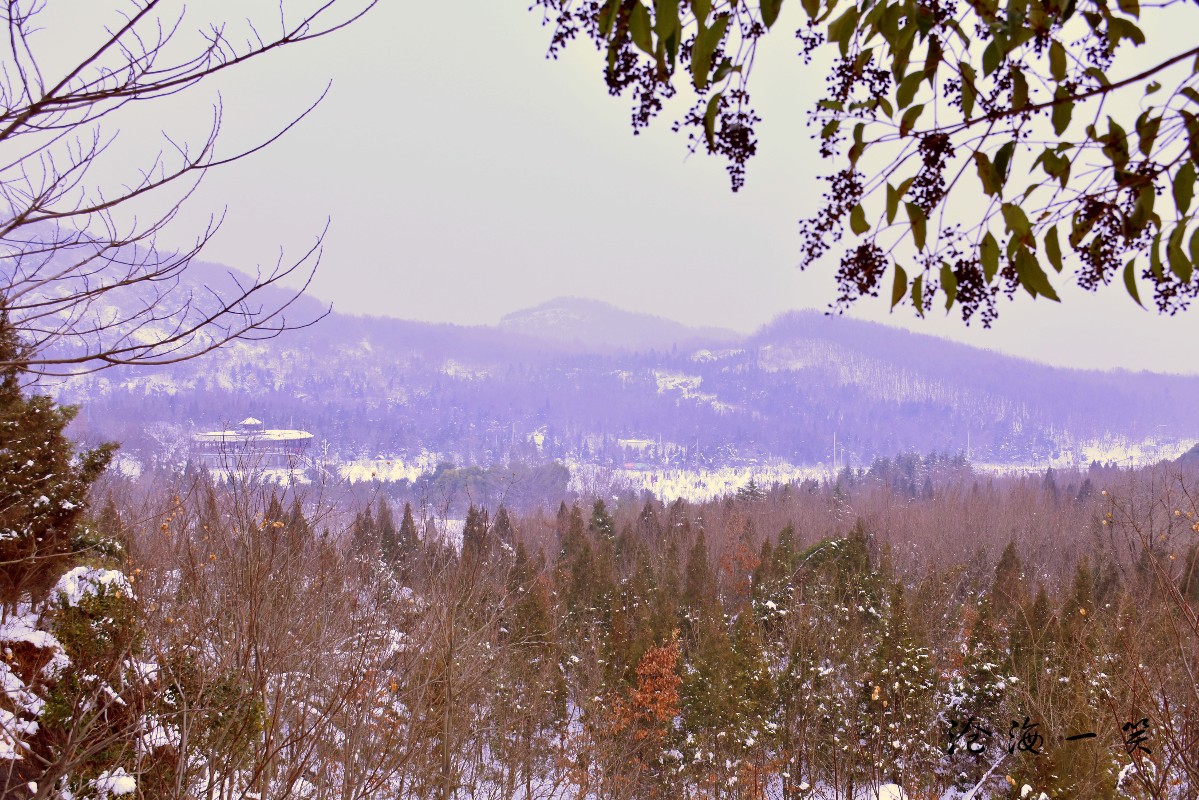 DSC_056922.jpg