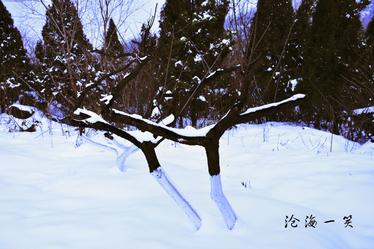 DSC_0502.JPG