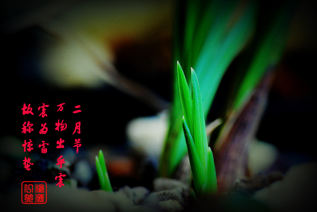 2009527212054_0325b418_副本.jpg