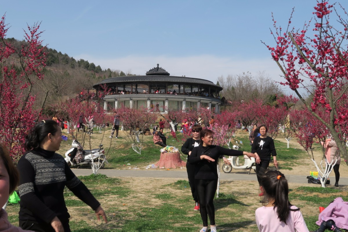 春暖舜耕山欢乐梅花园