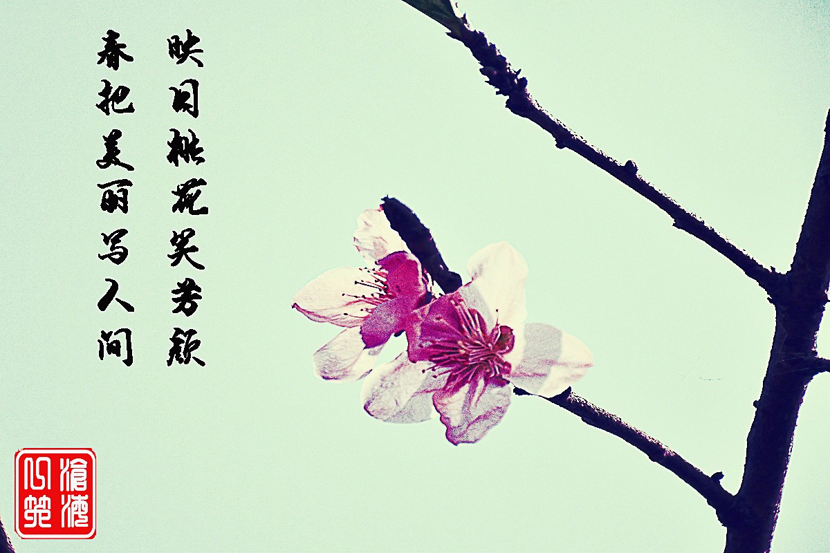 DSC_0203-恢复的.jpg