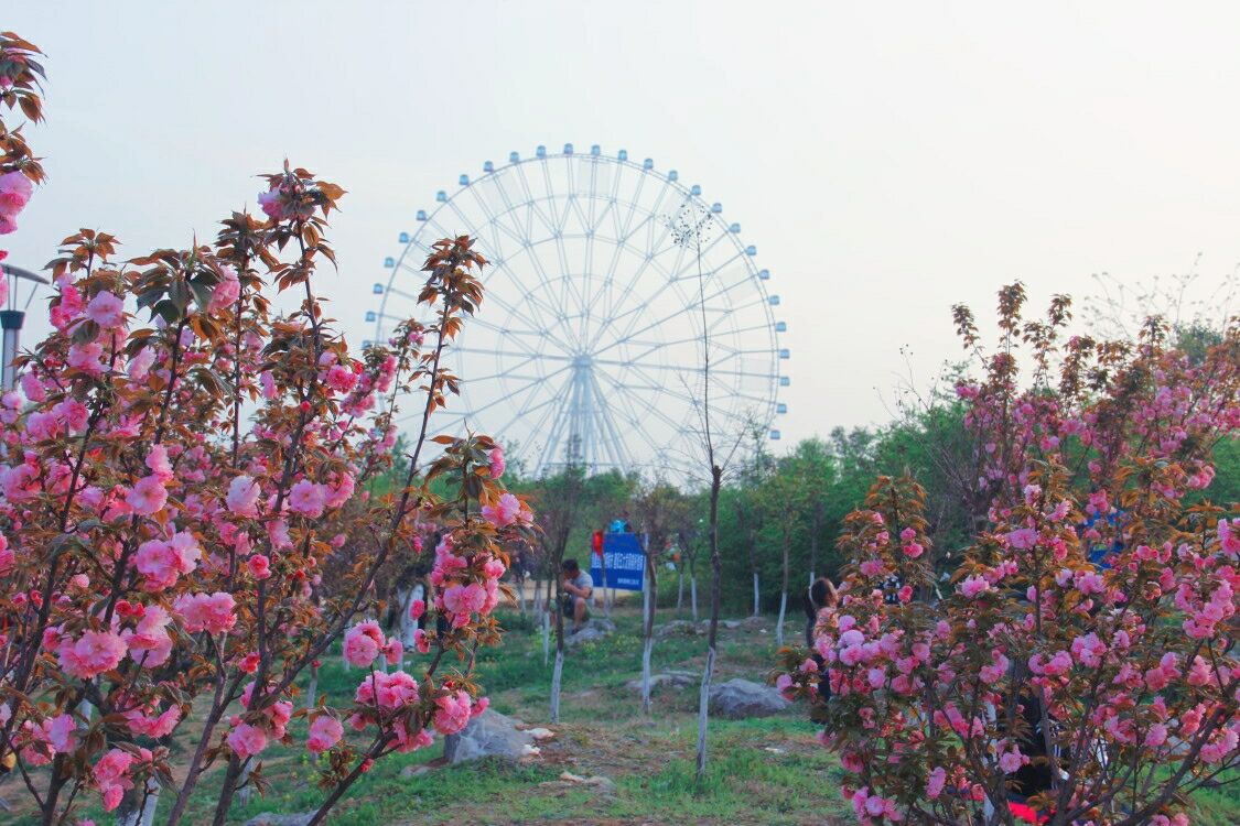 QQ图片20180408122608.jpg