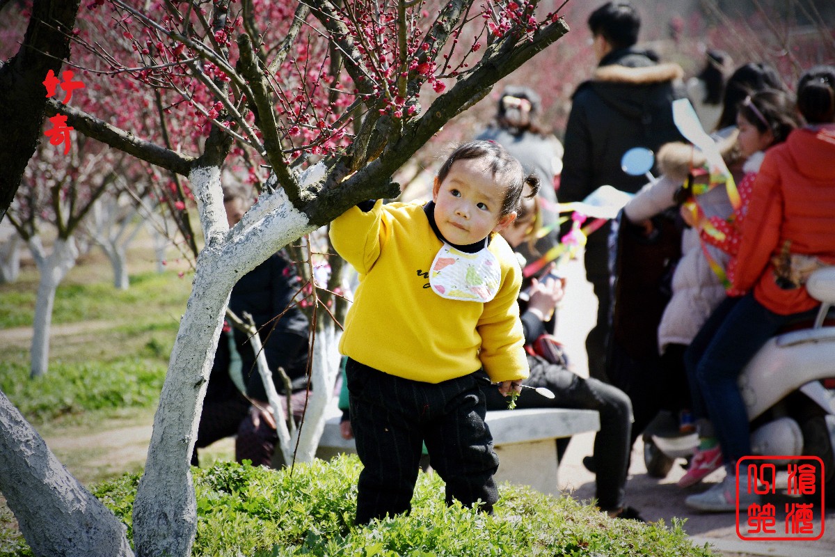 DSC_0577副本.jpg