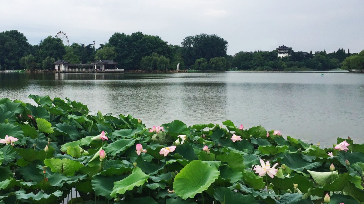 微信图片_20180628122941.jpg