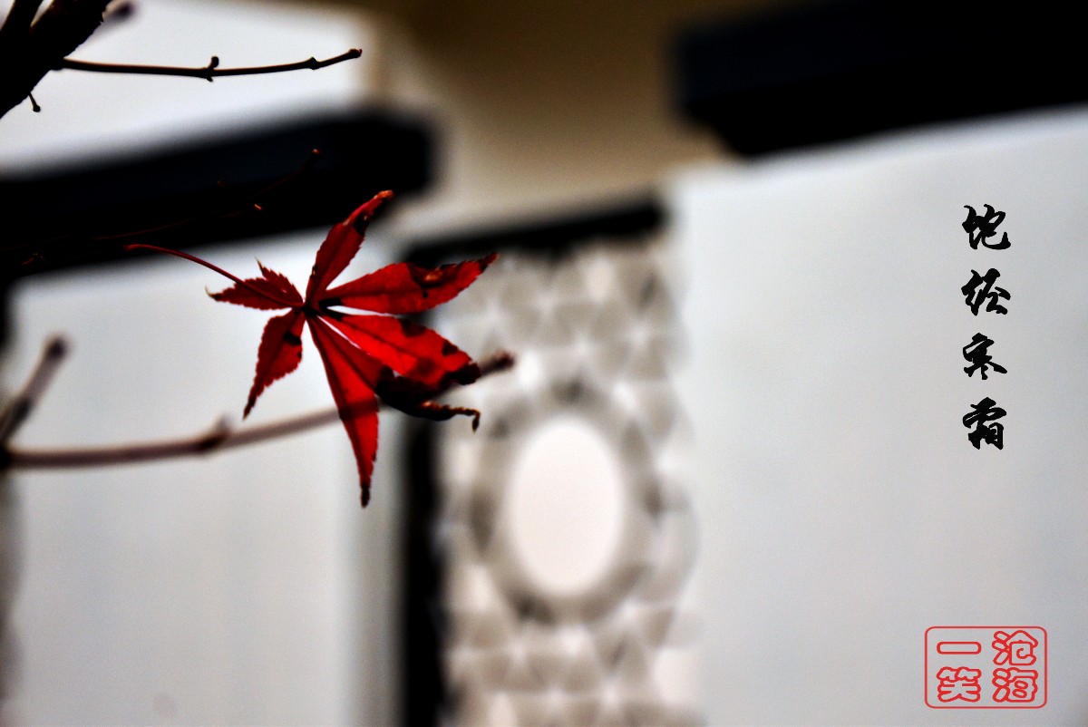 DSC_0690.JPG