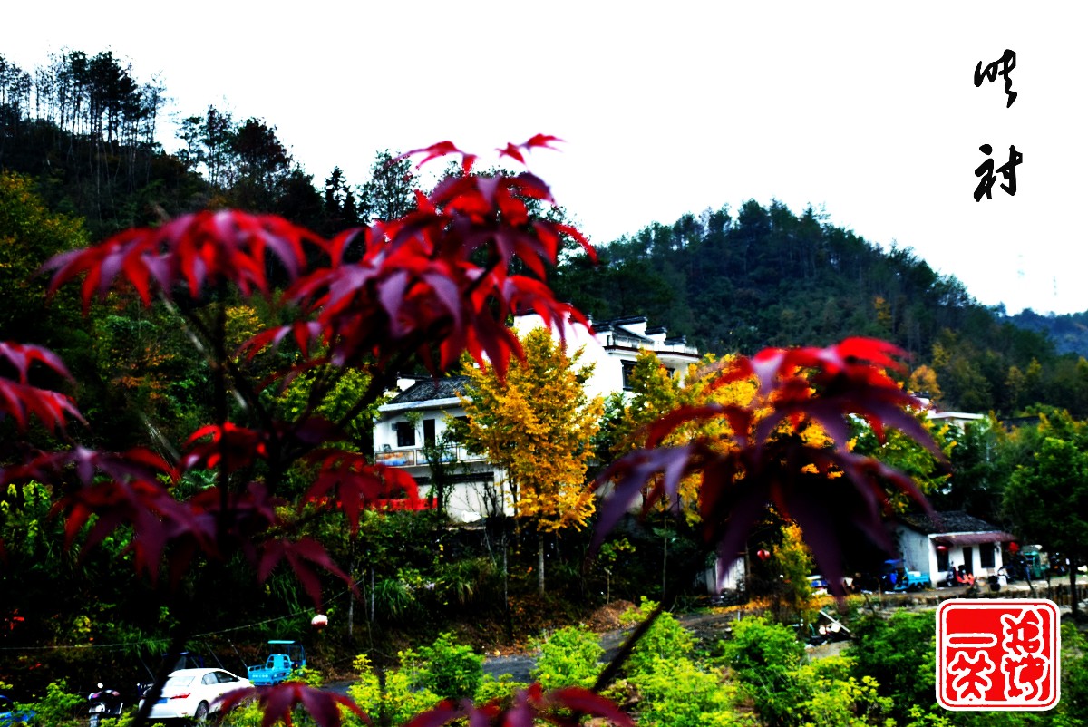 DSC_0224.JPG