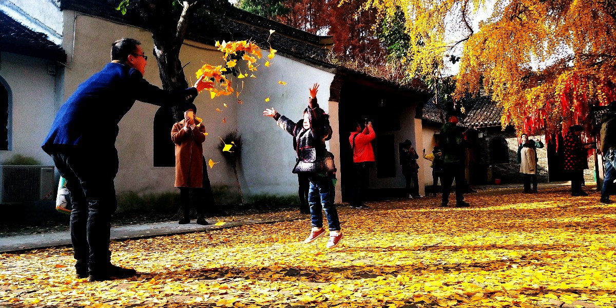 QQ图片20181126221128.jpg