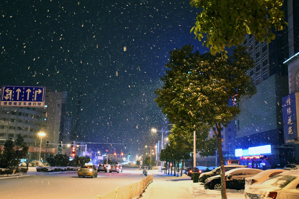 8.JPG