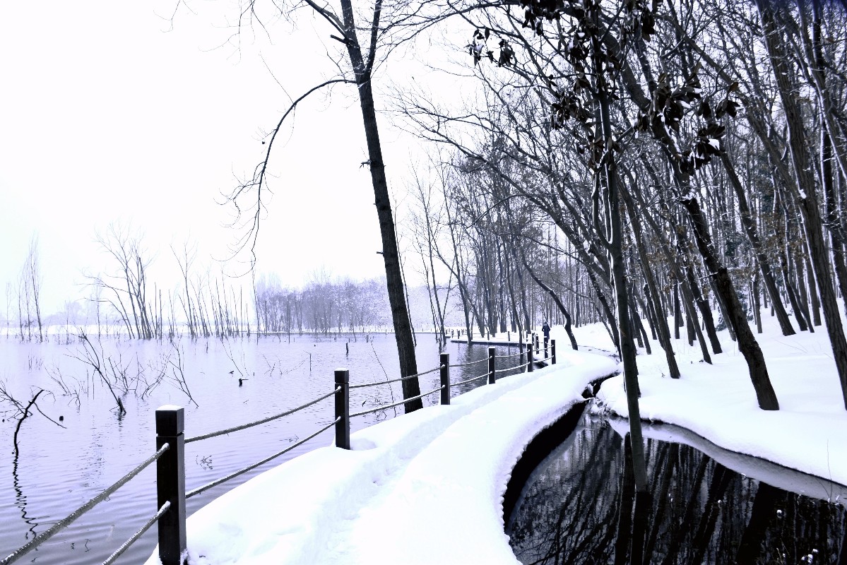 DSC_0071.JPG DSC_0071.JPG
