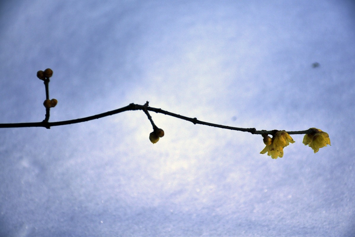 DSC_0140.JPG DSC_0140.JPG