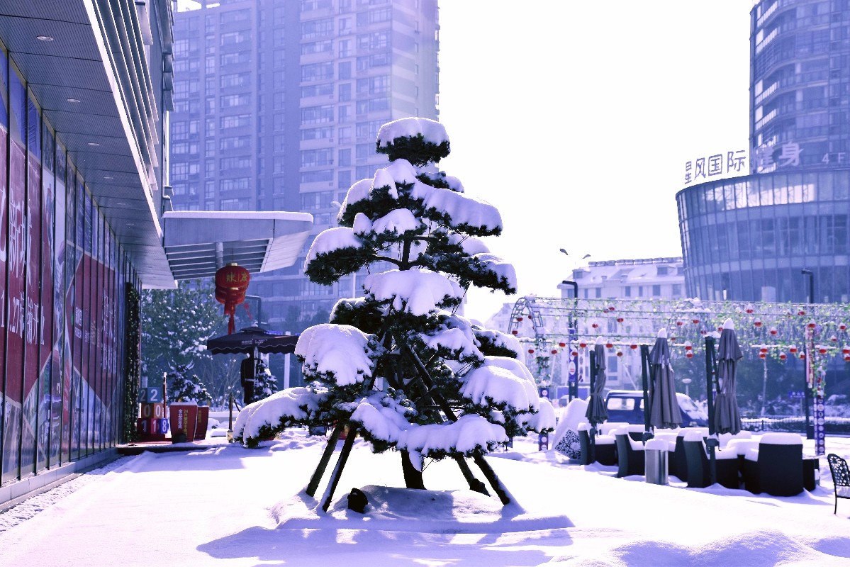 DSC_0098.JPG DSC_0098.JPG