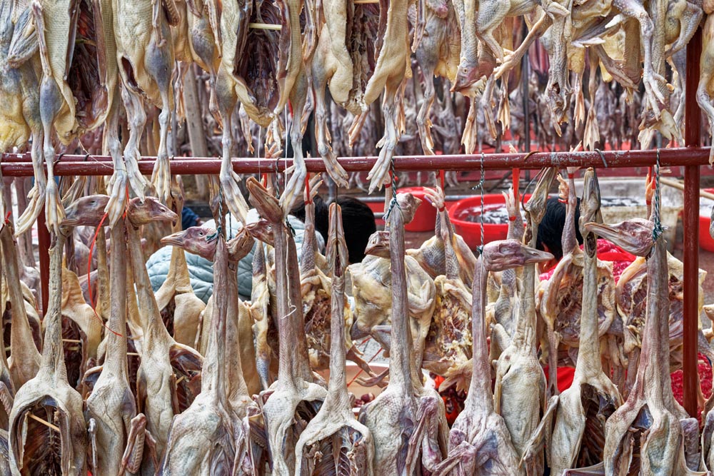年味 (1).jpg