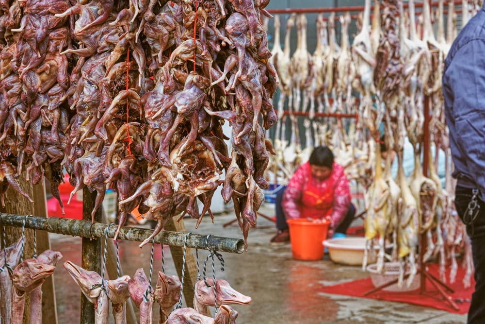 年味 (2).jpg