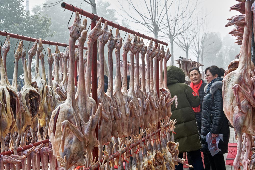 年味 (6).jpg