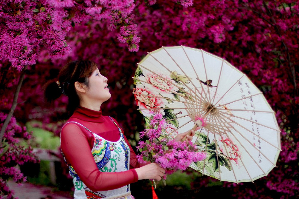 媲美.jpg