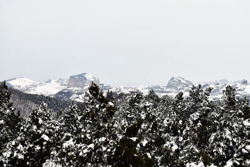 DSC_0008.JPG