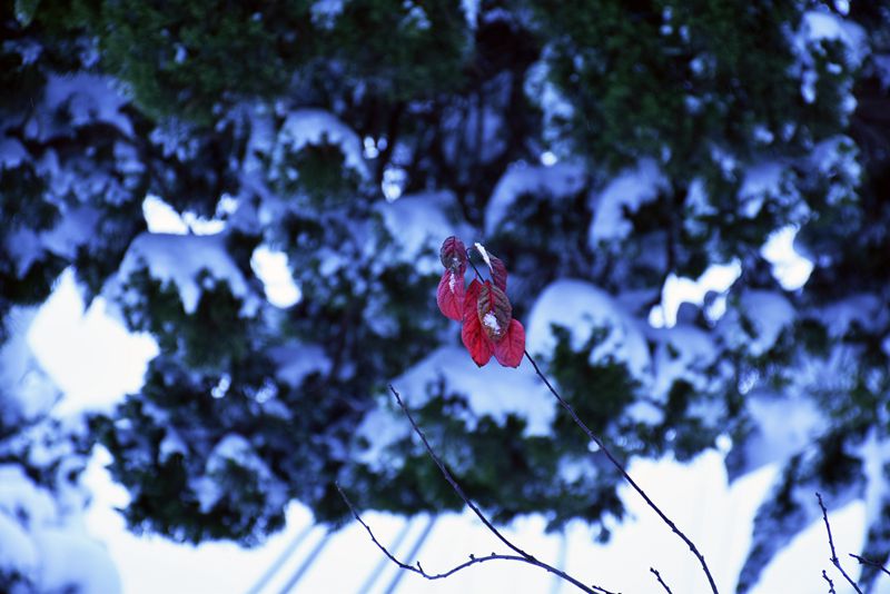 DSC_0113.JPG