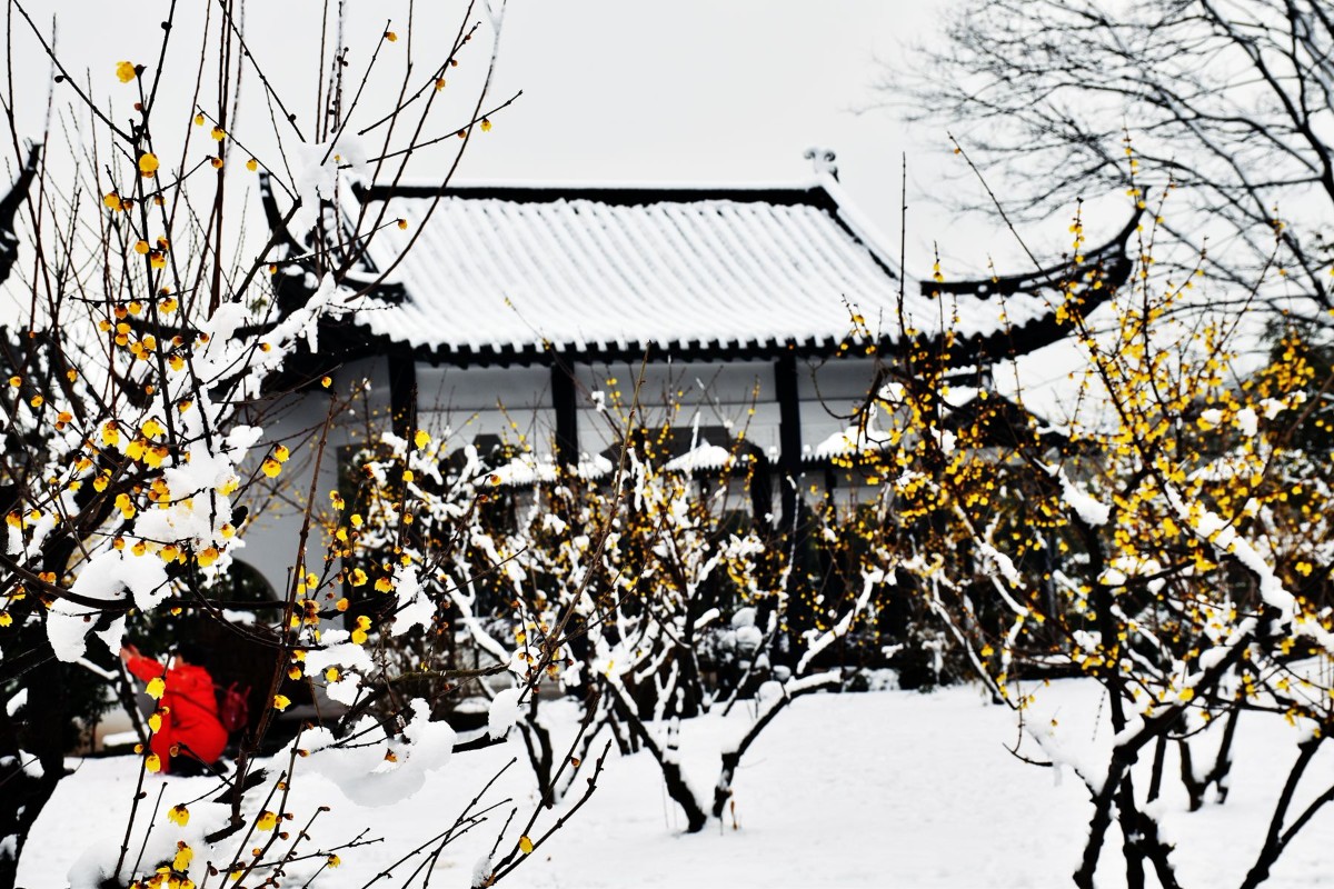 DSC_0841.JPG DSC_0841.JPG