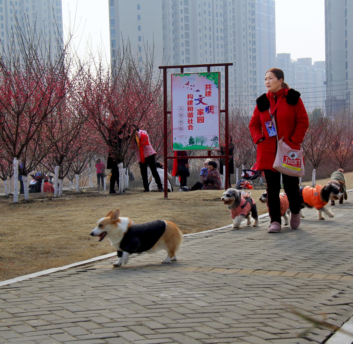 置若罔闻.JPG