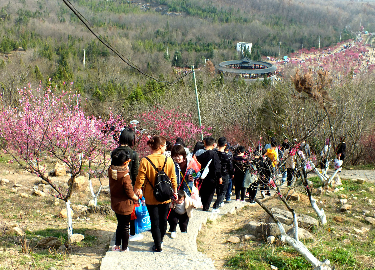 舜耕山梅园赏梅纪实 2019.3.16.>_淮南图片网