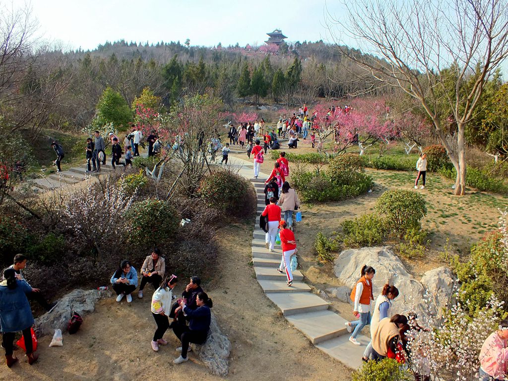 舜耕山梅园赏梅纪实 2019.3.16.>_淮南图片网