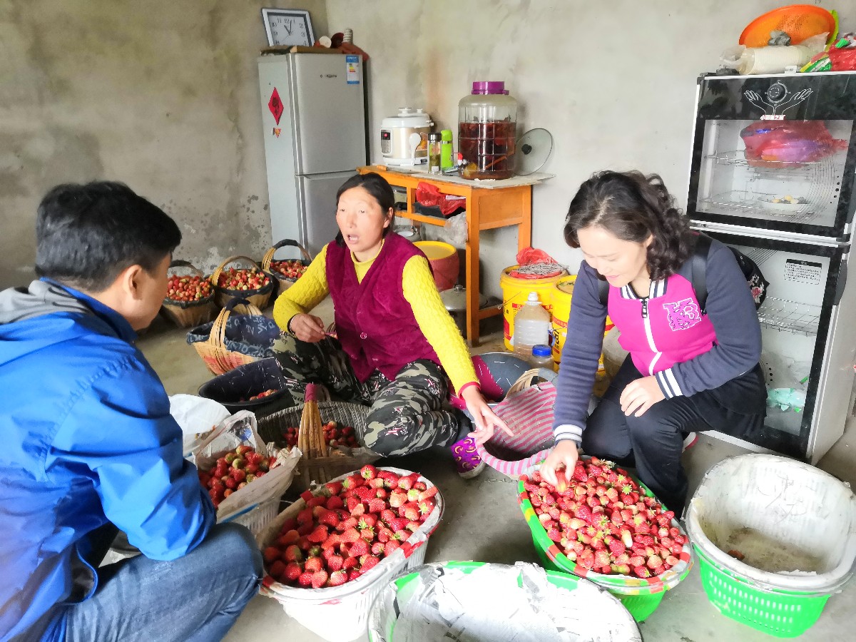 微信图片_20190411221255.jpg 微信图片_20190411221255.jpg