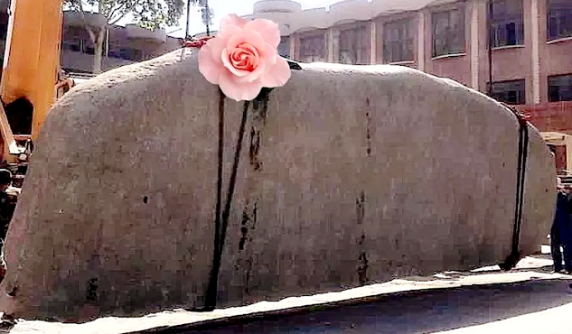 e5dd042f1f5097fd9ef8eaef8d5c71e.jpg