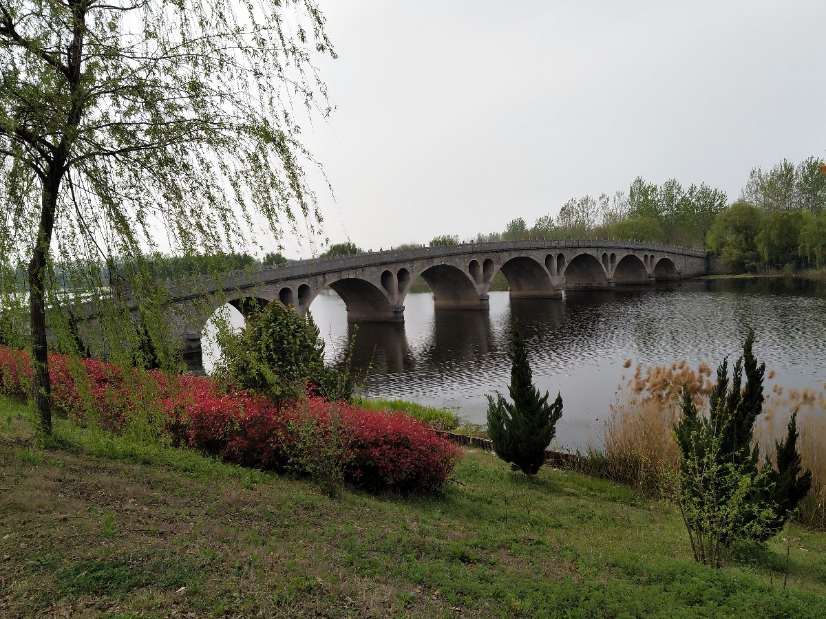 IMG_20190405_152057.jpg