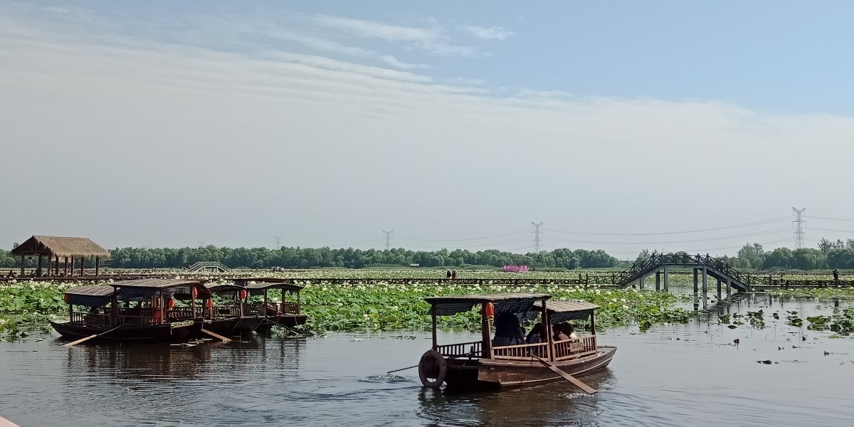 IMG20190703091808.jpg