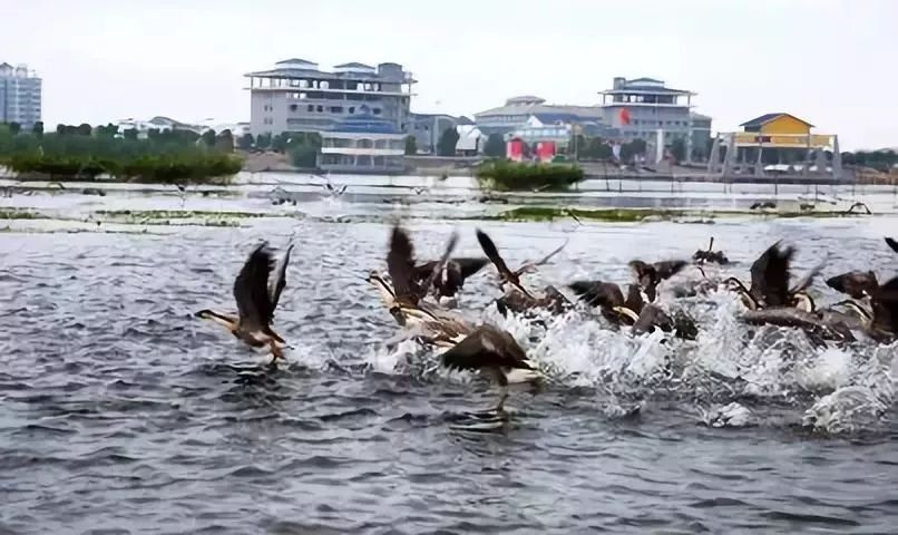 d966a8eda1f142949008db302a533b3d.jpeg