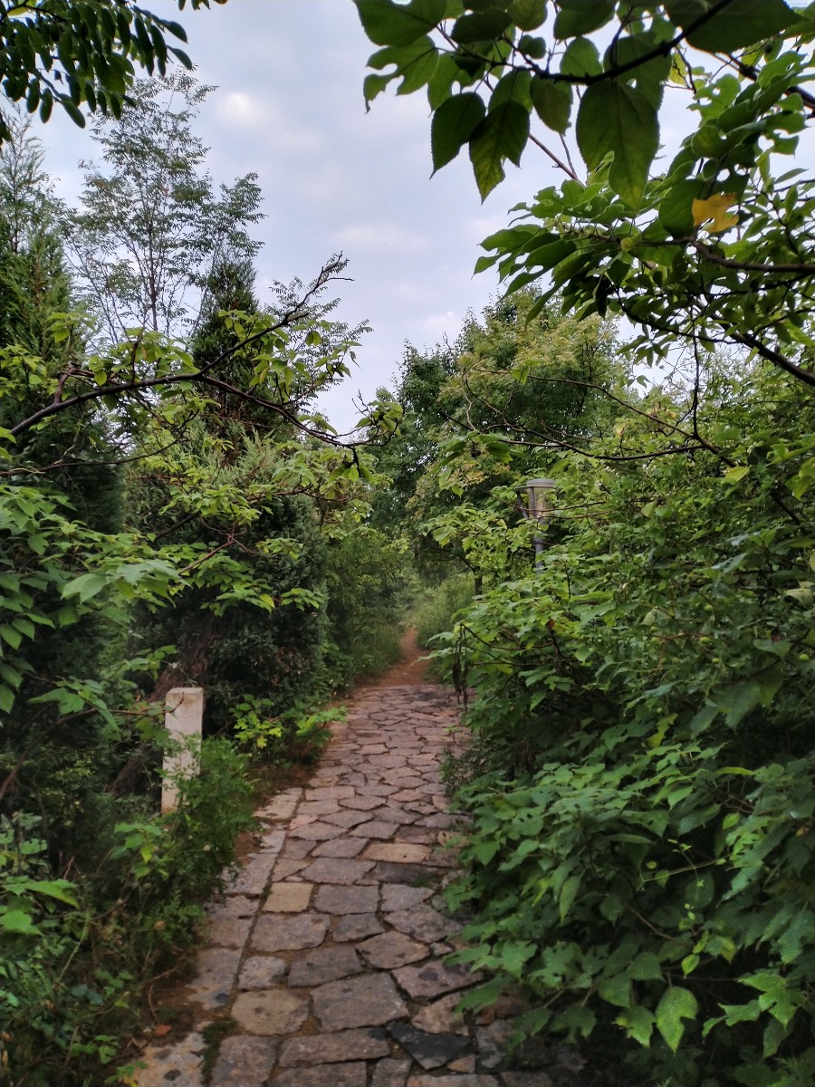 IMG_20190713_053940.jpg