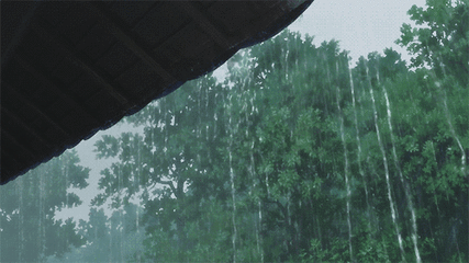 0018PMBdzy7laCJwcOn73&690.gif