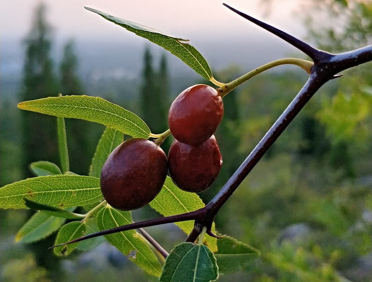 359006766.jpg