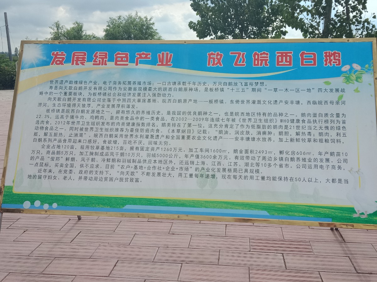 2IMG20190903143536.jpg 2IMG20190903143536.jpg